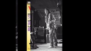 Рок-энциклопедия. Stevie Ray Vaughan. Биография