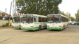 Водители автобусов лишились льготной пенсии из-за того, что на предприятии потеряли их документы