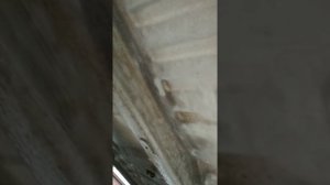 Осмотр днища Рено Логан 2 15.02.2020 г.