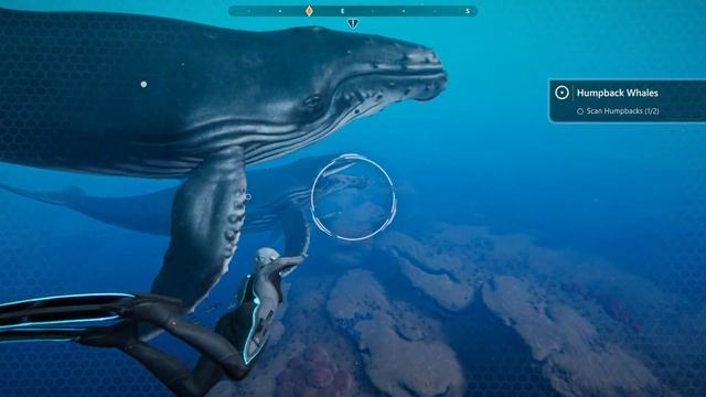 Beyond Blue Gameplay (PC Game) смотреть онлайн