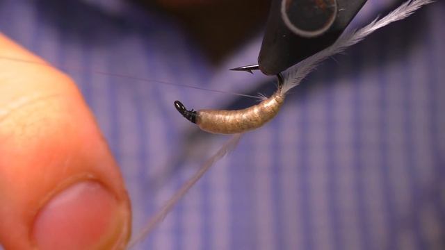 Личинка Ручейника  Caddis Larva. Как живая!