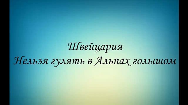 Странные законы разных стран