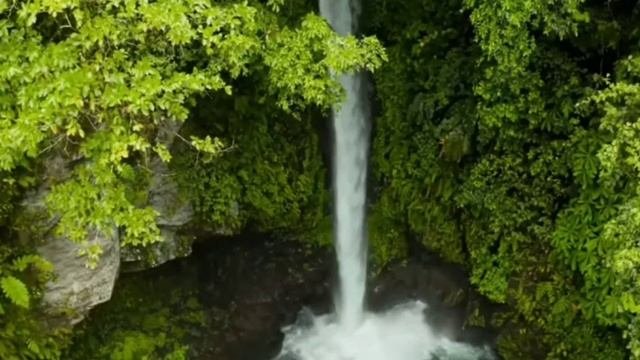 Астрологический прогноз для Водолеев на апрель 2023 года