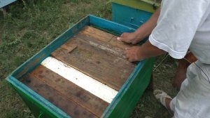 Как исправить трутовочную семью? Пчелы начинающим.