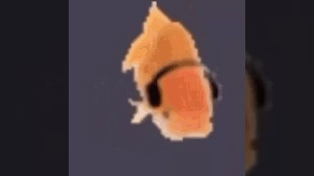 Путс