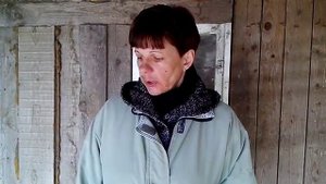 Куры породы АМРОКС.