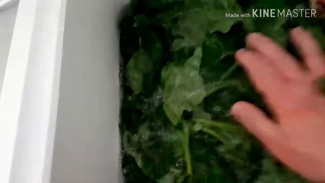 Не повторяйте за мной, ЗЕЛЬЕ НЕ ТУДА ПОШЛО смотреть онлайн