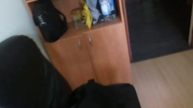Ястреб залетел в кабинет.