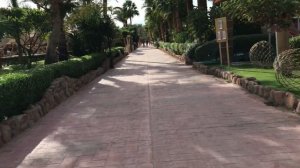 Novotel Sharm Beach & Novotel Sharm Palm 02.12.2021