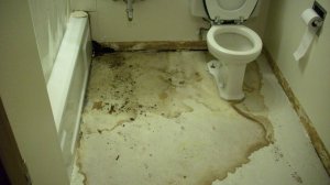 Вода на полу в ванной/туалете? Смотри где искать протечку!