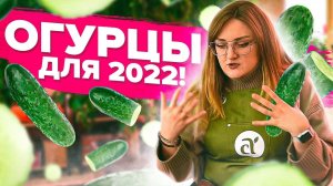 УРОЖАЙ даже в МАЕ! ТОП огурцов для 2022 Семена Алтая Виктория Карелина