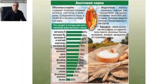 Технологическая схема производства макробиотических каш "Витавек"