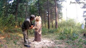 Резьба бензопилой. Изготавливаем фигуру медведя.