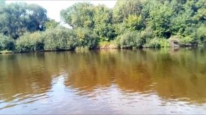 рыбалка на десне ловля  карпа.mp4