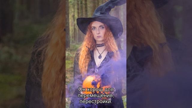 Дева: ежедневный персональный гороскоп на 16 Ноября 2020