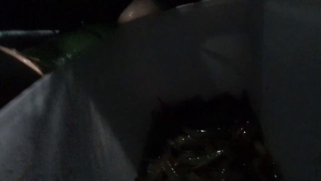 Открытие сезона КРЕВЕТКИ/ЧИЛИМА 2023! Сахалин смотреть онлайн