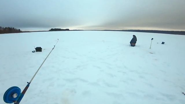 Царская рыба или глаз в темноте. Барская рыбалка в отеле "Порт Весьегонск" смотреть онлайн