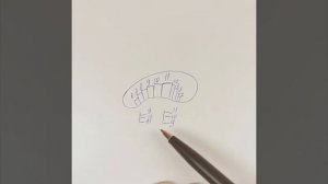 Наращивание ресниц в обратной рядности