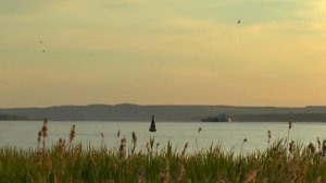 РЫБАЛКА НА КАМЕ. Открытие летнего сезона. Усть-Бельск.