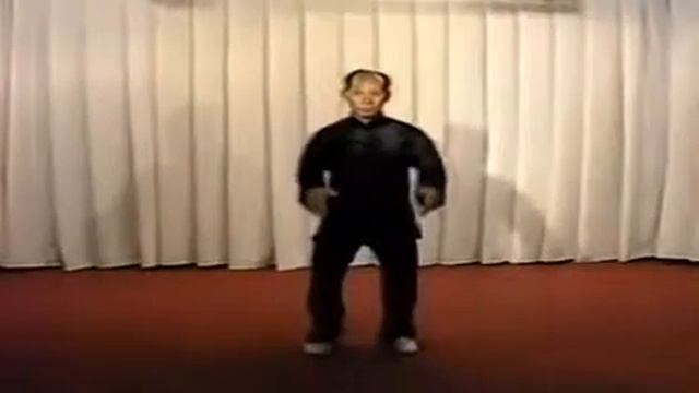 108 форм Тайцзицюань стиль Ян, Мастер Лю Гаомин 60f