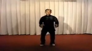 108 форм Тайцзицюань стиль Ян, Мастер Лю Гаомин 60f