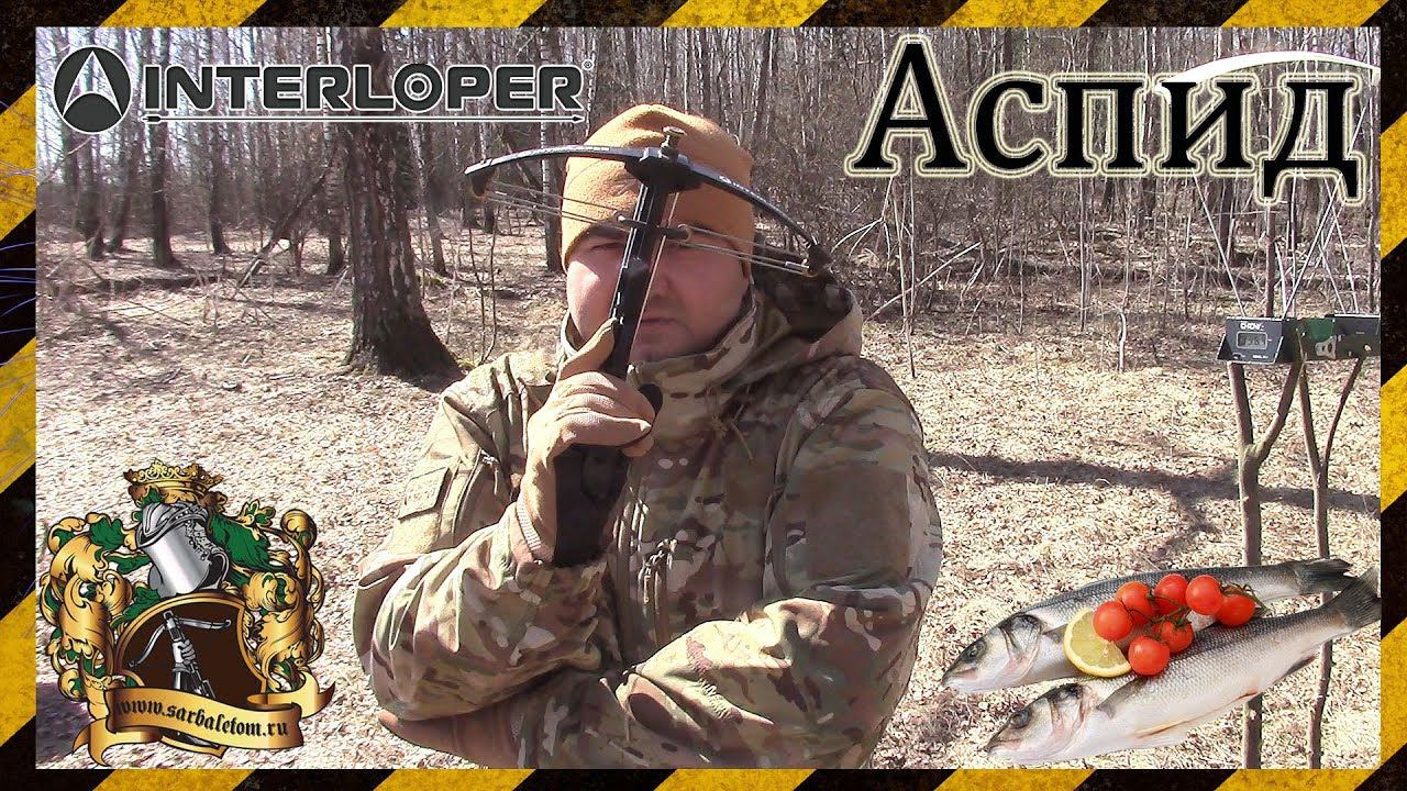 Обзор на пистолетный арбалет Интерлопер Аспид. Аспид для рыбалки (Боуфишинга) смотреть онлайн