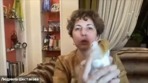 Как правильно брать щенка на руки?