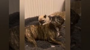 Массажист ну oчень энергичный?