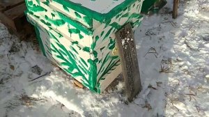 подготовка пчёл к зимовке на улице