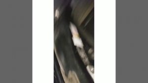 Прадо(150) с пробегом 506тыс.км.после юр.лица