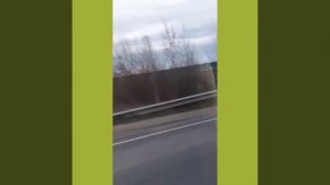 Влог из Калуги. Едем в Оптину Пустынь.