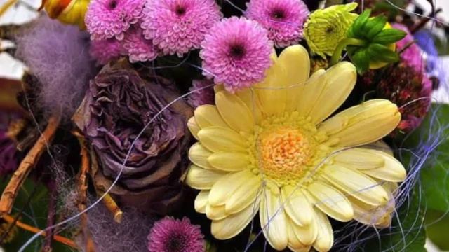 25 января – Татьянин день! Оригинальное поздравление! смотреть онлайн