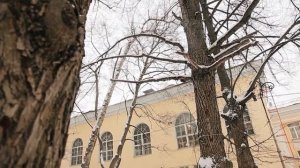 Московский Новый драматический театр