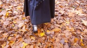 Ария Мины из мюзикла "Дракула" (Замерев не дыша)