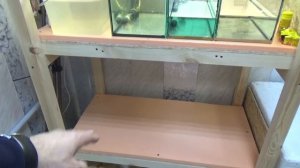 Как выглядят мальки Данио спустя 15 дней, после нереста? Установил аквариумы на новый стеллаж!