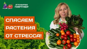 КАК УБЕРЕЧЬ РАСТЕНИЯ ОТ СТРЕССА?