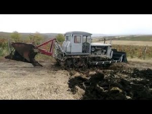 Легендарные тракторы Т-74 пашут! Legendary T-74 tractors plow