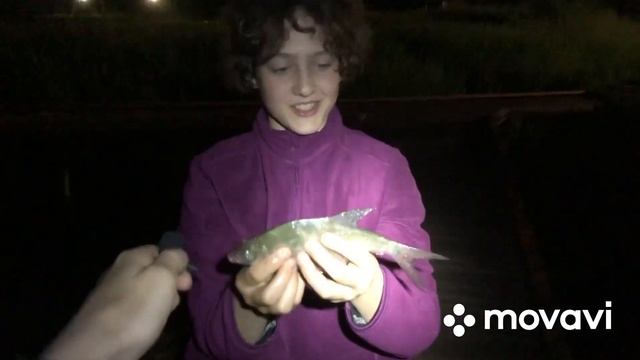 Ночная рыбалка на озере Сенеж