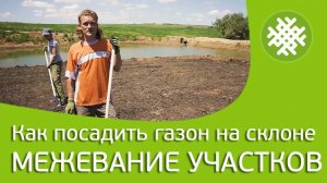 Как посадить газон на склоне. Межевание участков