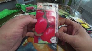 Обзор семян томатов от фирмы "АГРОС"