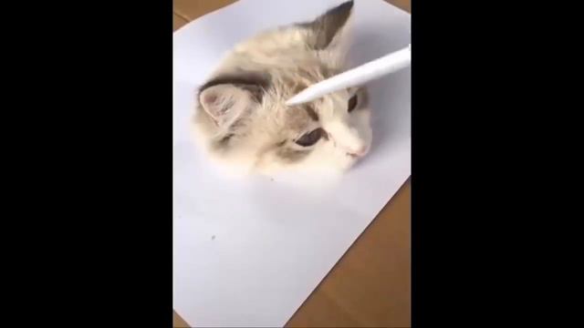 Приколы с животными до слез 2020-2021/ Смешные животные  и их хозяева 2020-2021