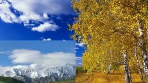 Западная Сибирь