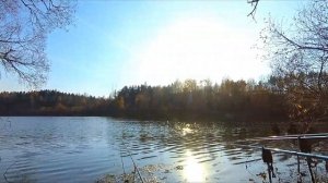 Осенний лещ на маховую удочку.Рыбалка на реке.