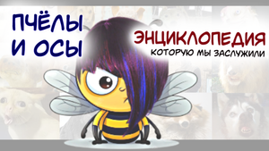 Серия 1. Пчелы и осы