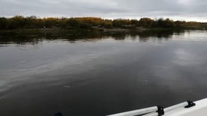 лодка Кайман 400 на моторе 9.9