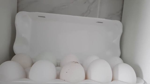 Не покупайте комбикорм для кур! Нет ничего лучше чем корм для кур своими руками!