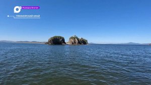Разведка блогом / Остров Фуругельма / 04.10.23