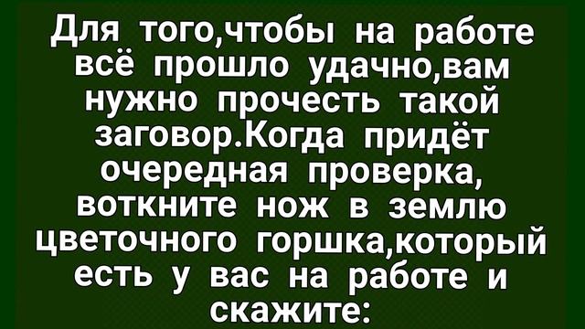 336.РИТУАЛ ОТ ПРОВЕРОК НА РАБОТЕ