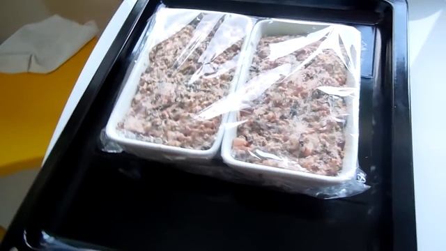 VLOG: Фото из прошлого / У меня большой нос / Готовлю Террин мясной