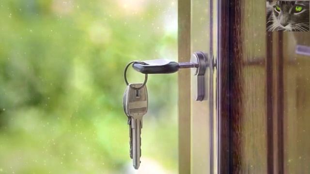 Почему в квартире постоянно что то ломается. Дом вверх дном. смотреть онлайн